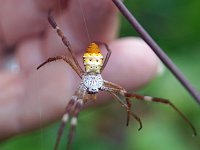 DSC08684 edit